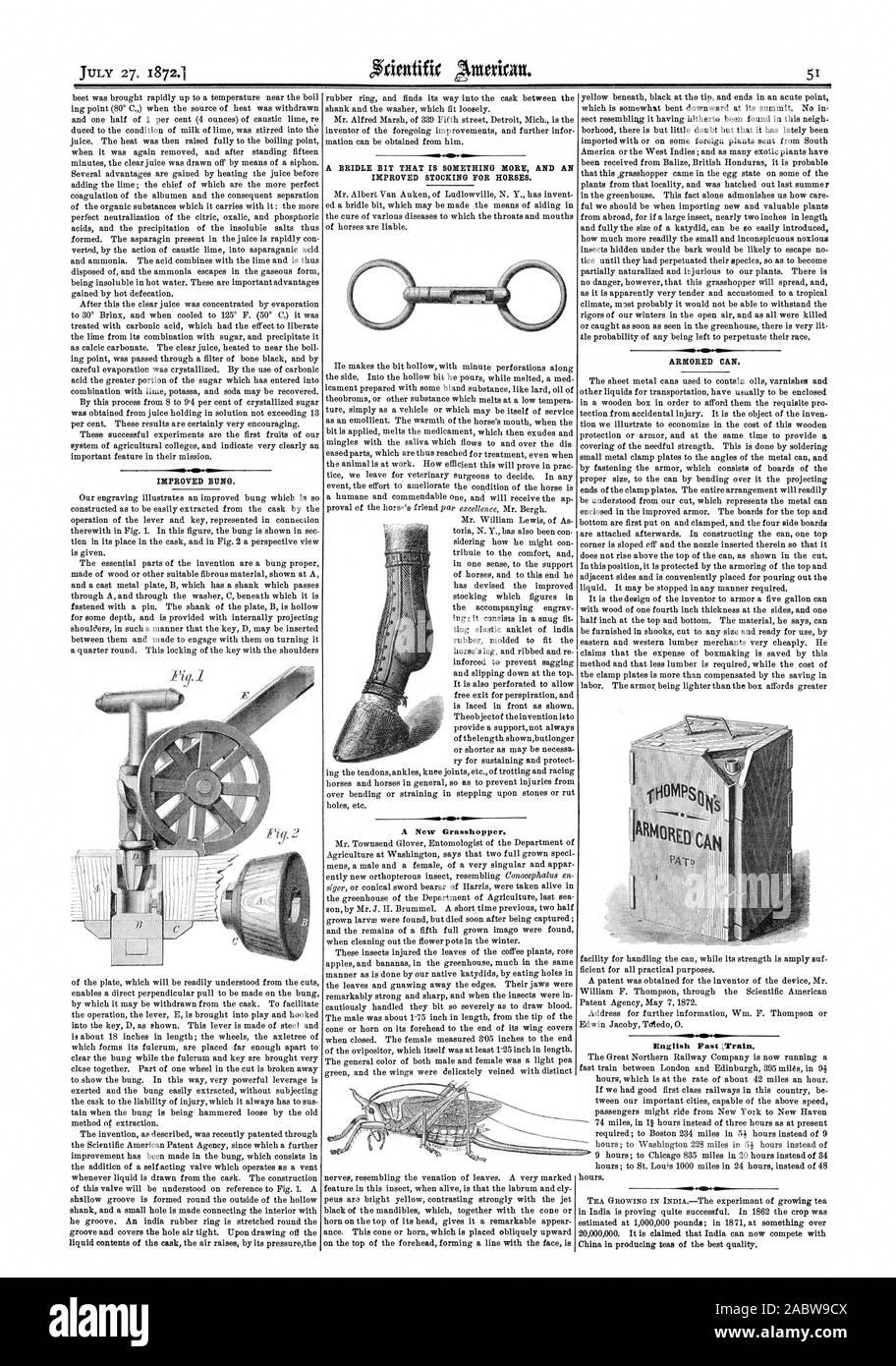 IMPROVED BUNG. A BRIDLE BIT THAT IS SOMETHING MORE AND AN IMPROVED STOCKING FOR HORSES. HAIIMIN4 A New Grasshopper. ARMORED CAN., scientific american, 1872-07-27 Stock Photo