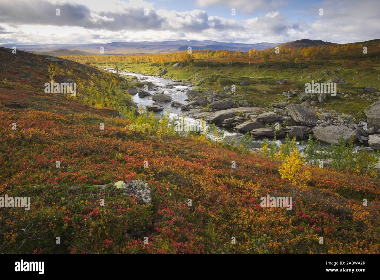 River valley in autumn, Sweden Stock Photo