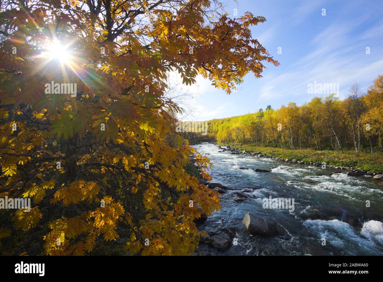 Sun through the trees at a river in autumn, Sweden Stock Photo