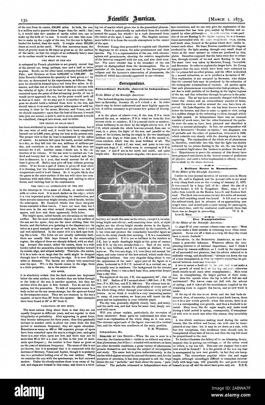 Extraordinary parhella observed rat independence hires stock