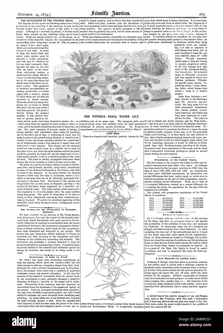 The Society for the Promotion of Scientific Industry. Importance of Salts in Food. No Coal in California. A New Material for Aniline Lake. THE VICTORIA REGIA WATER LILY., scientific american, 1874-10-24 Stock Photo