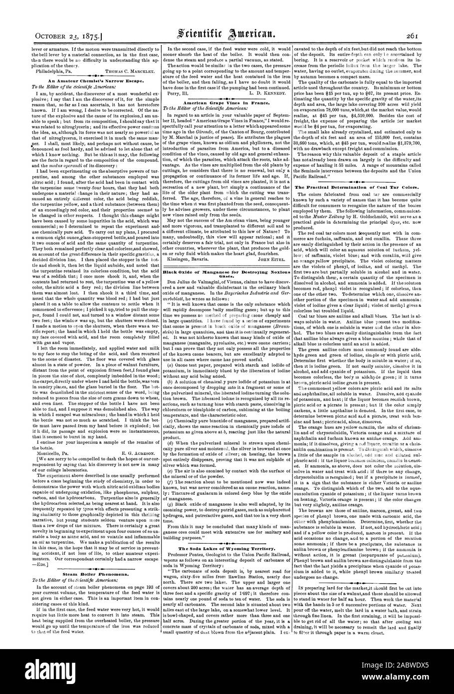 An Amateur Chemist's Narrow Escape. Steam Boiler Phenomena. American Grape Vines in France. Black Oxide of Manganese for Destroying Noxious The Soda Lakes of Wyoming Territory. The Practical Determination of Coal Tar Colors., scientific american, 1875-10-23 Stock Photo