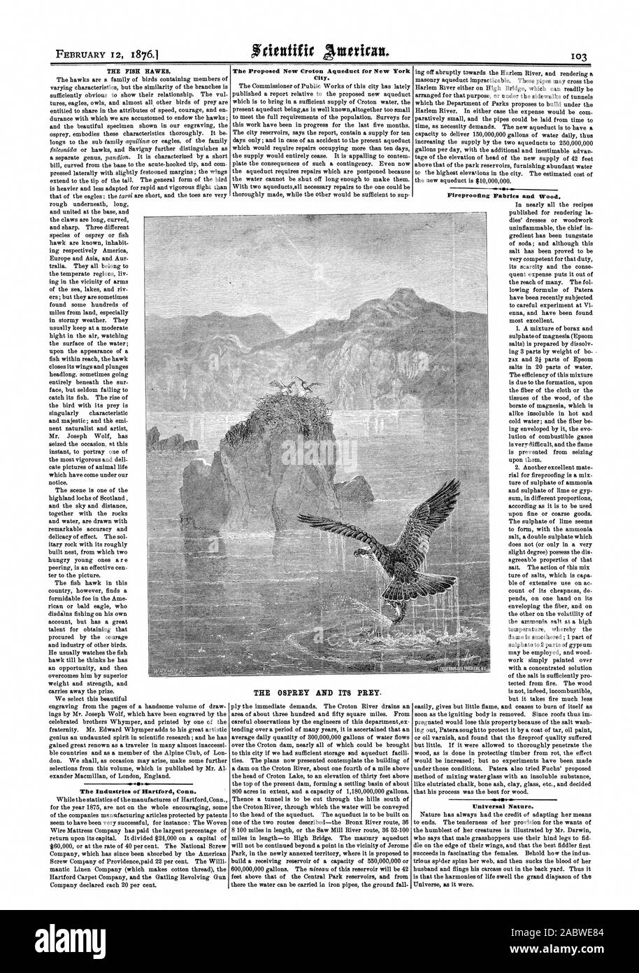 THE FISH HAWKS The Industries of Hartford Conn. The Proposed New Croton Aqueduct for New York City. Fireproofing Fabrics and Wood. Universal Nature. THE OSPREY AND ITS PREY., scientific american, 1876-02-12 Stock Photo