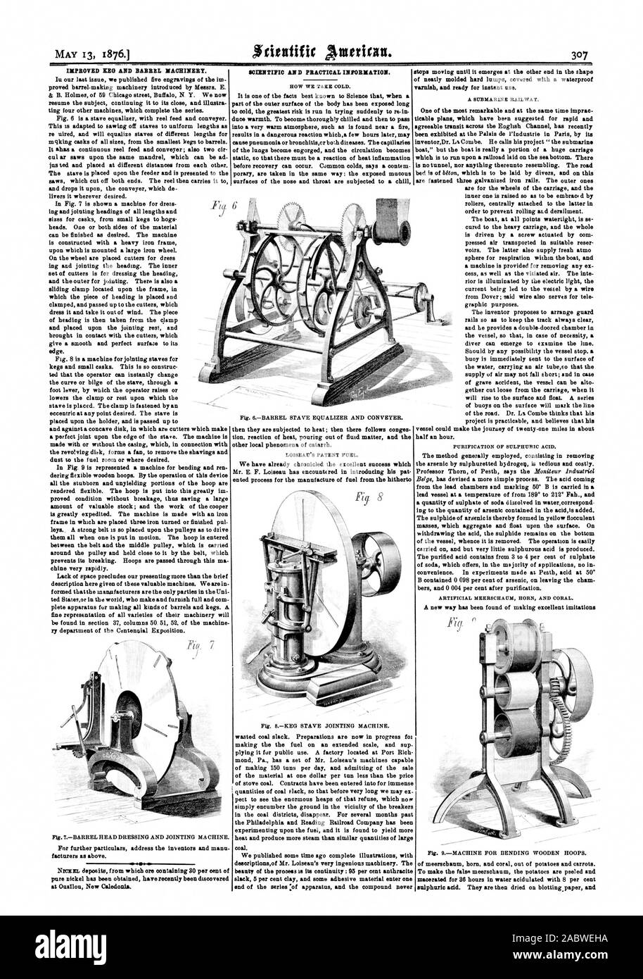 307 macerated Cut Out Stock Images & Pictures Alamy