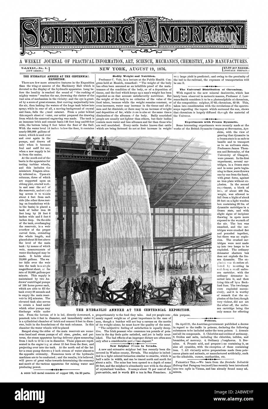 It Vol.XXXV.-No. 8.1 THE HYDRAULIC ANNEXE AT THE CENTENNIAL EXPOSITION. Bodily Weight and Nutrition. The Universal Distribution of Chromium. Experiments with Frozen Dynamite. Poisons. CENTENNIAL EXPOSITION. THE HYDRAULIC ANNEXE AT THE, scientific american, 1876-08-19 Stock Photo