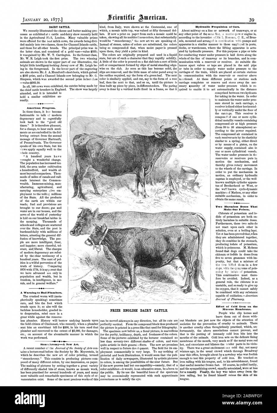 DAIRY CATTLE. American Progress. A Warning to Bad Plumbers. StenochromyA New Art. PRIZE ENGLISH DAIRY CATTLE. Hydraulic Propulsion of Cars. Two Harmless Doses That Make One Poison. Effect of Cold Iron on the Mucous Membrane., scientific american, 1877-01-20 Stock Photo