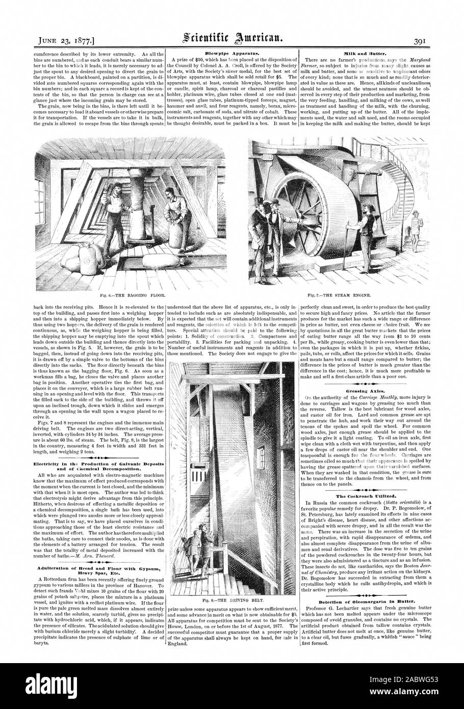 Blowpipe Apparatus. milk and Butter. Electricity in the Production of Galvanic Deposits and of Chemical Decomposition. Adulteration of Bread and Flour with Gypsum Heavy Spar Etc. Greasing Axles. The Cockroach Utilized. Detection of Oleomargarin in Butter. 0.0M .NaglIMMAos 'F. 0.01.6 gra=101Mra WEEMS, scientific american, 1877-06-23 Stock Photo