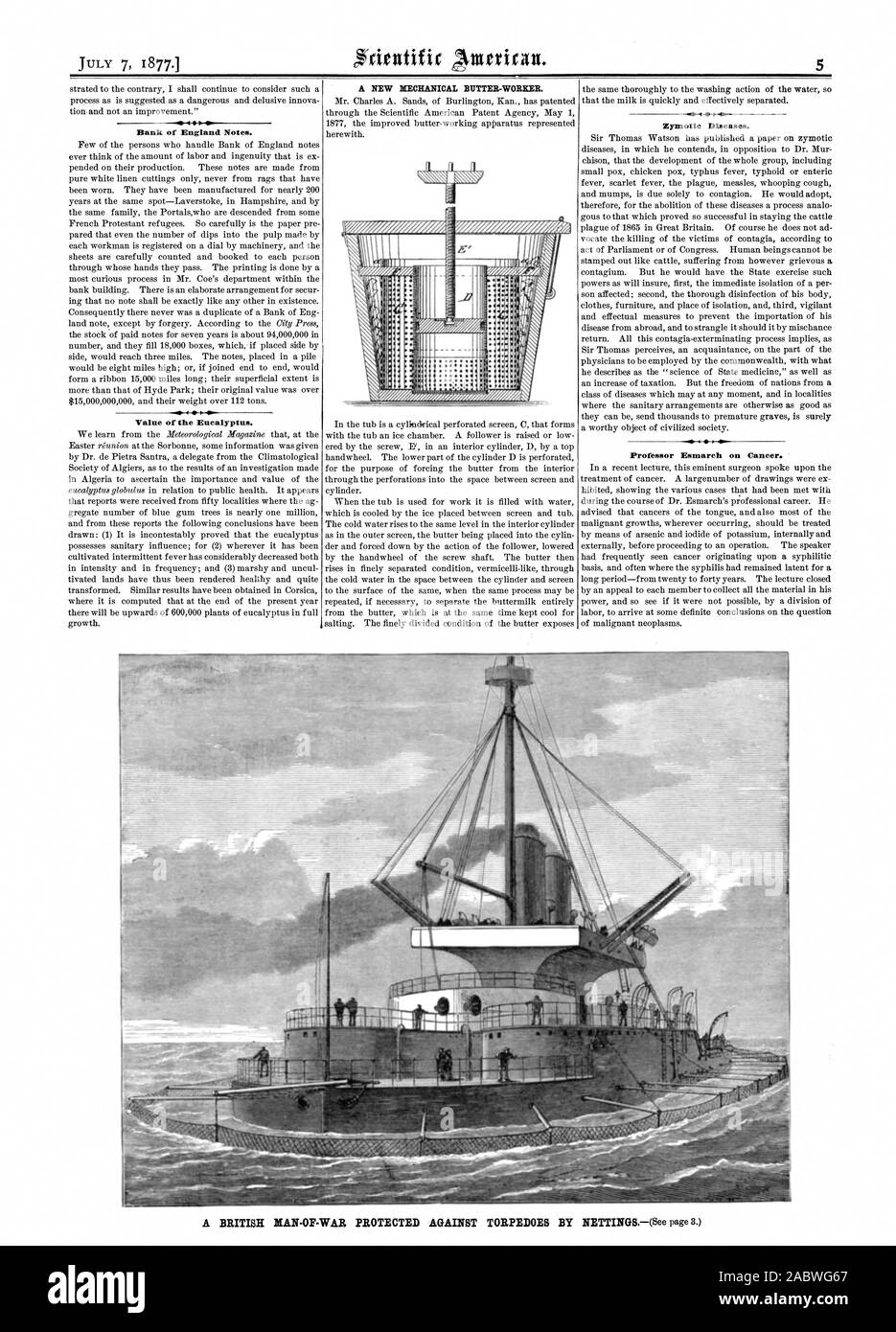 JULY 7 1877. Bank of England Notes. Value of the Eucalyptus. Zymotic Diseases. Professor Esmarch on Cancer., scientific american, 1877-07-07 Stock Photo