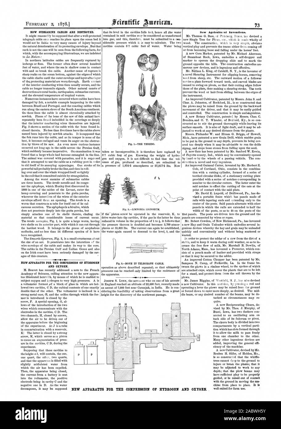 FOR THE COMPRESSION OF HYDROGEN HOW SUBMARINE CABLES ARE DESTROYED. NEW APPARATUS FOR THE COMPRESSION OF HYDROGEN AND OXYGEN. New Agricultural Inventions. NEW APPARATUS, scientific american, 1878-02-02 Stock Photo