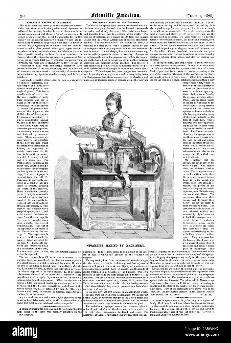 CIGARETTE ittAxnie BY MACHINERY.   The Sponge Trade of the Bahamas. CIGARETTE MAKING BY MACHINERY., scientific american, 1878-06-01 Stock Photo
