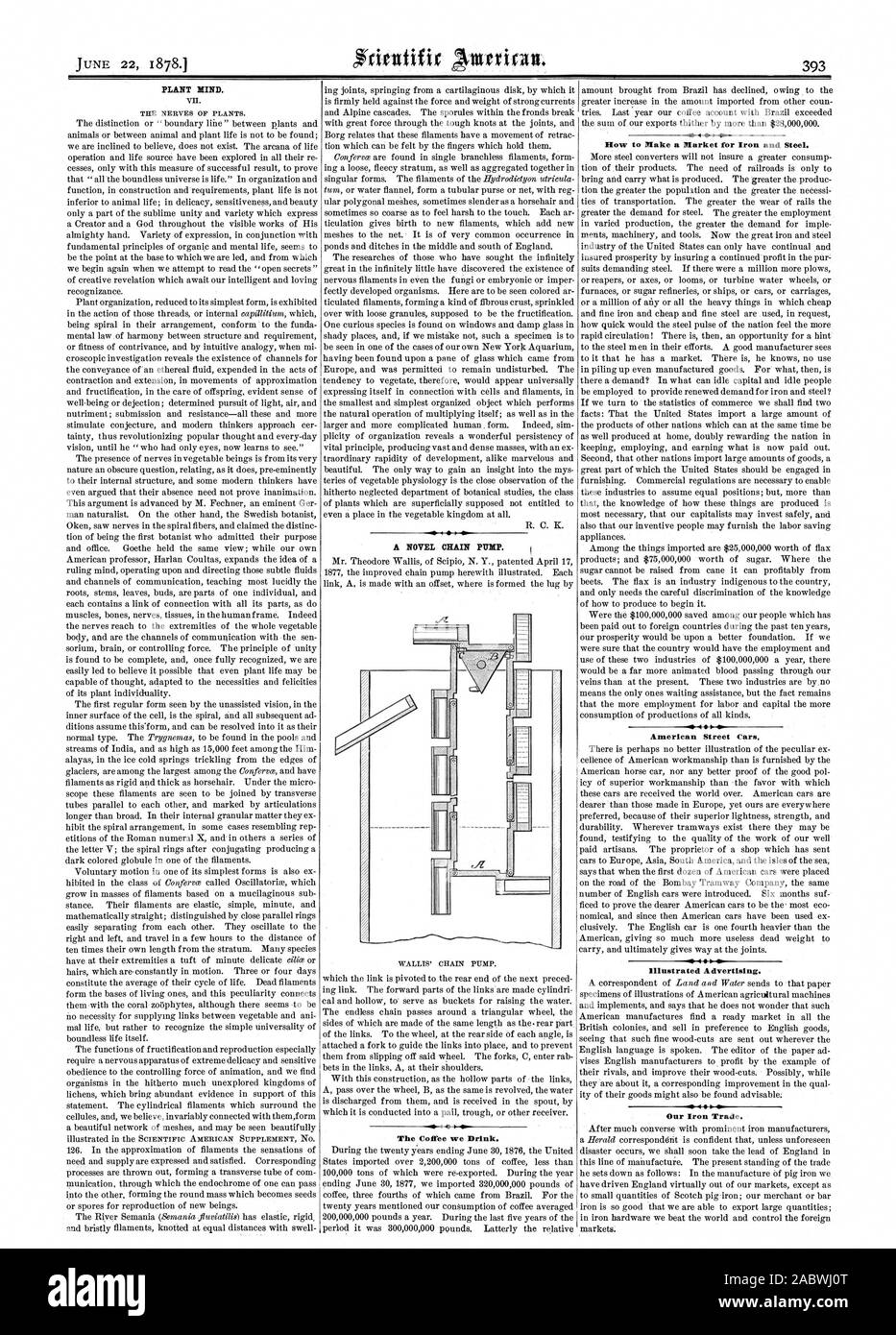 PLANT MIND. VII. THE NERVES OF PLANTS. A NOVEL CHAIN PUMP. The Coffee we Drink. How to Make a Market for Iron and Steel. American Street Cars. Illustrated Advertising. Our Iron Trade., scientific american, 1878-06-22 Stock Photo