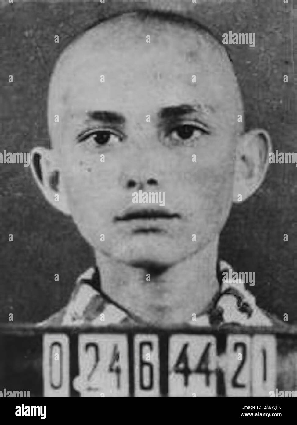 Аушвиц концлагерь пленные. Концентрационный лагерь аушвиц освобождения. Бухенвальд освенцим заксенхаузен. Узники аушвица фотопортреты. Имре кертес.