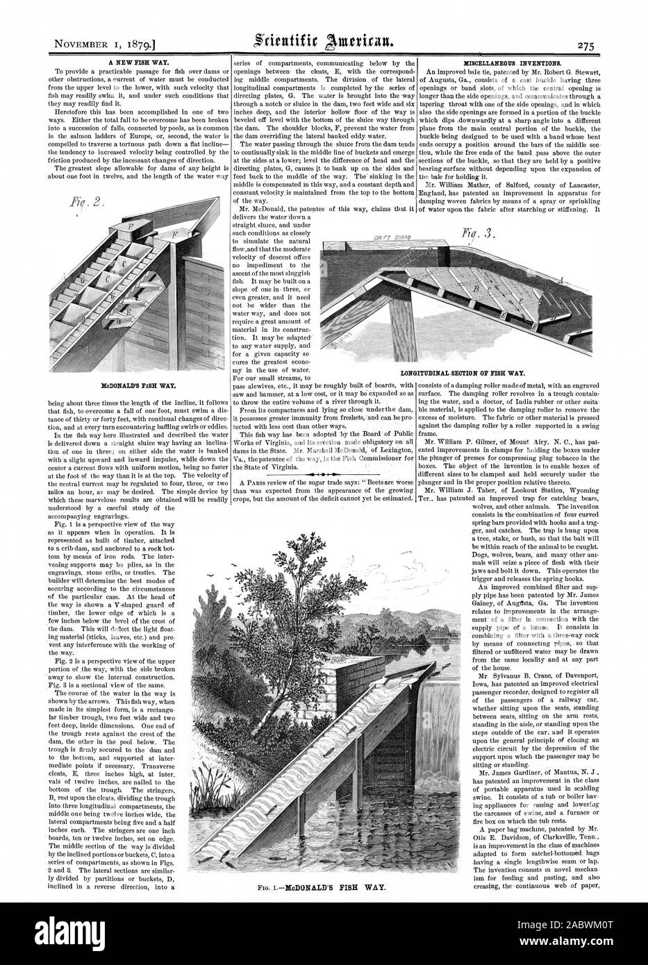 A NEW FISH WAY. LONGITUDINAL SECTION OF FISH WAY., scientific american