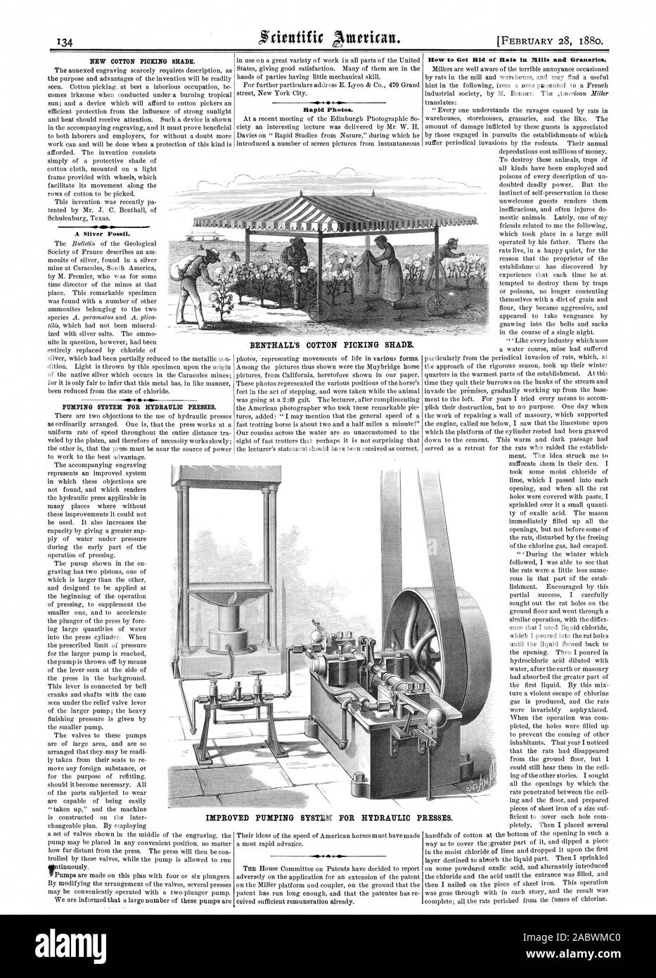 Cotton picking texas hires stock photography and images Alamy