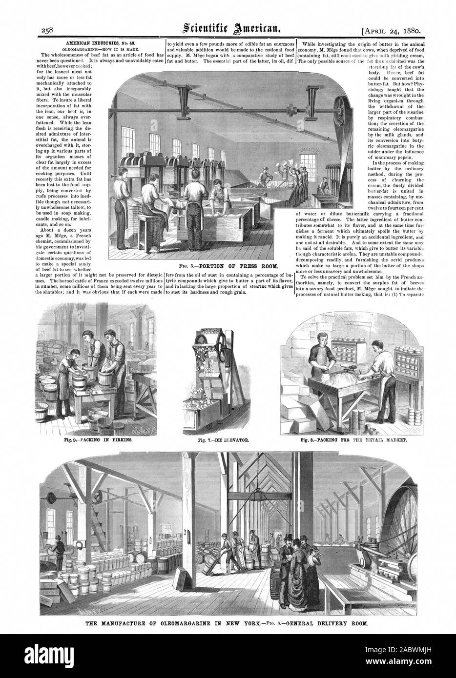 AMERICAN INDUSTRIES No. 40. OLEOMARGARINE-HOW IT IS MADE. FIG. 5. PORTION OF PRESS ROOM. Fig. SPACKING FOR THE RETAIL MARKET. THE MANUFACTURE OF OLEOMARGARINE IN NEW YORK—FIG. 6—GENERAL DELIVERY ROOM., scientific american, 1880-04-24 Stock Photo