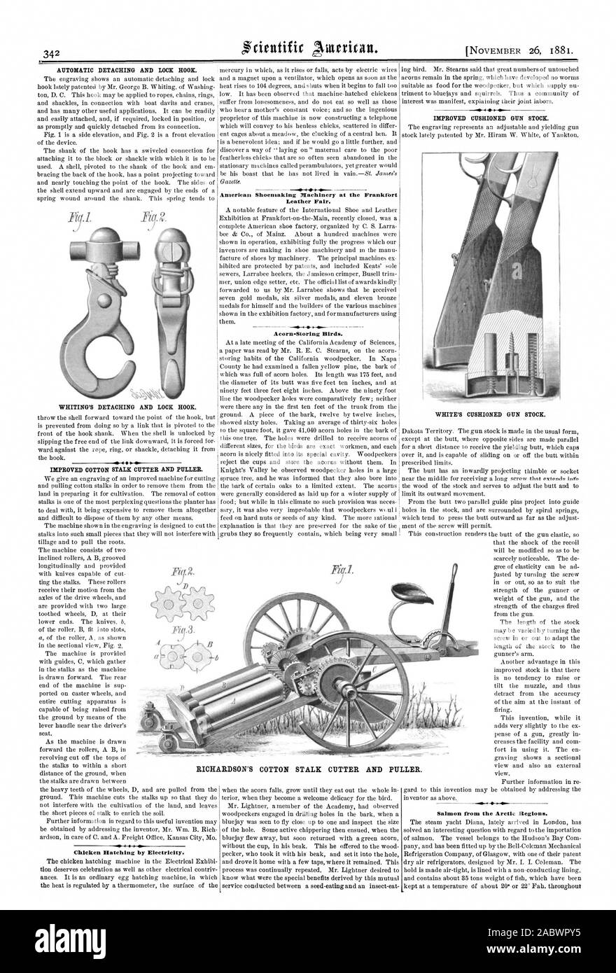 American Shoemaking Machinery at the Frankfort Leather Fair. Acorn-Storing  Birds. W (IP Chicken Hatching by Electricity. Salmon from the Arctic  Regions., scientific american, 1881-11-26 Stock Photo - Alamy