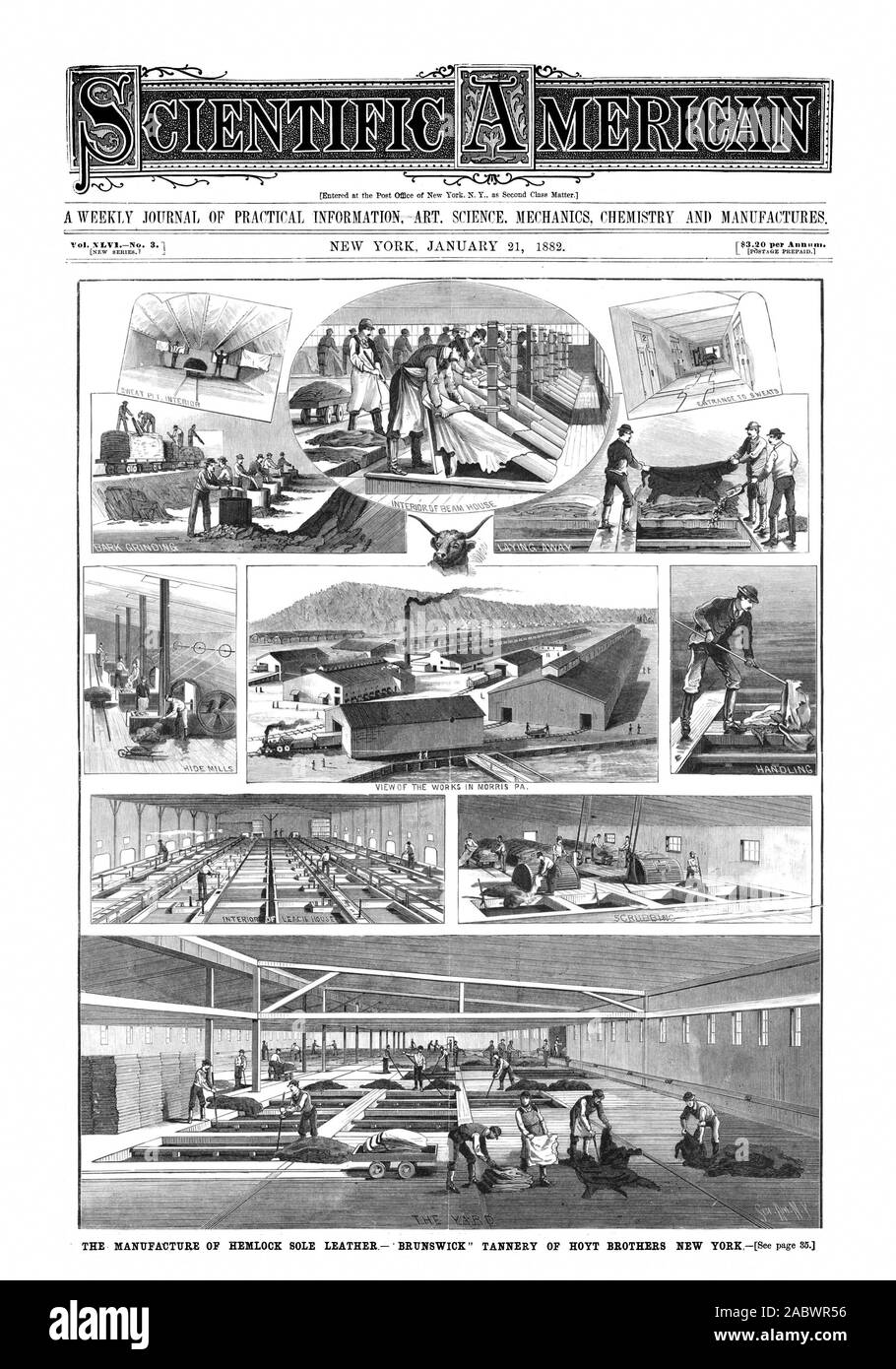 THE IVIANUFAVTURE OF HEMLOCK SOLE LEATHER  BRUNSWICK' TANNERY OF HOYT BROTHERS NEW YORK, scientific american, 1882-01-21 Stock Photo