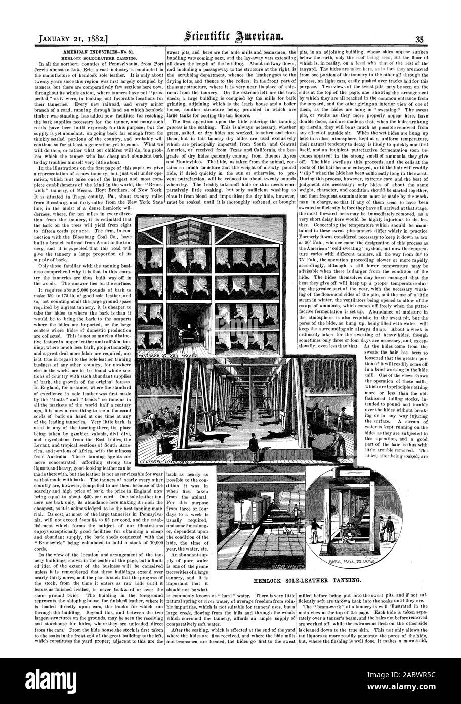 AMERICAN INDUSTRIES—No. 81. HEMLOCK SOLE-LEATHER TANNING., scientific american, 1882-01-21 Stock Photo