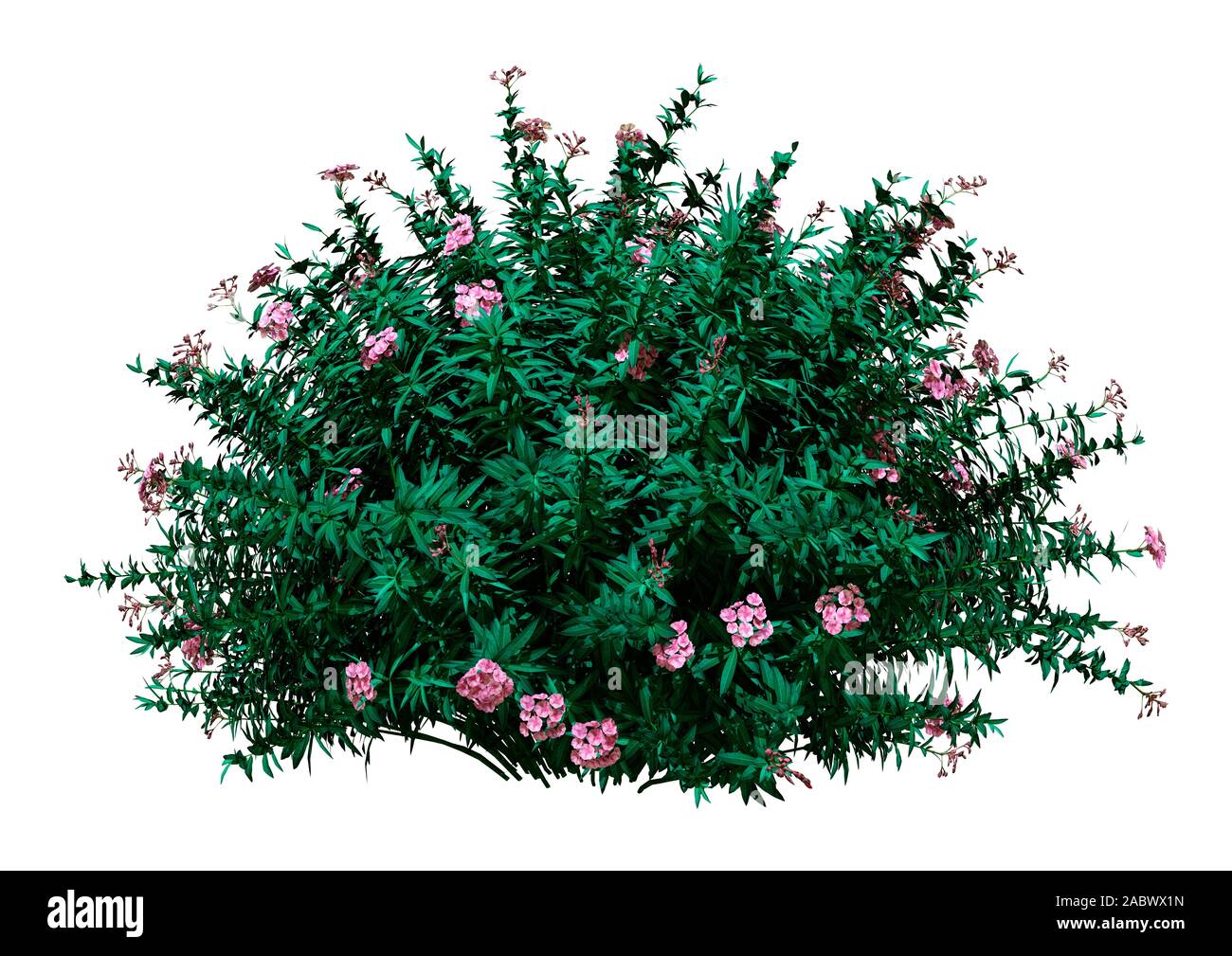 Shrub Rendering