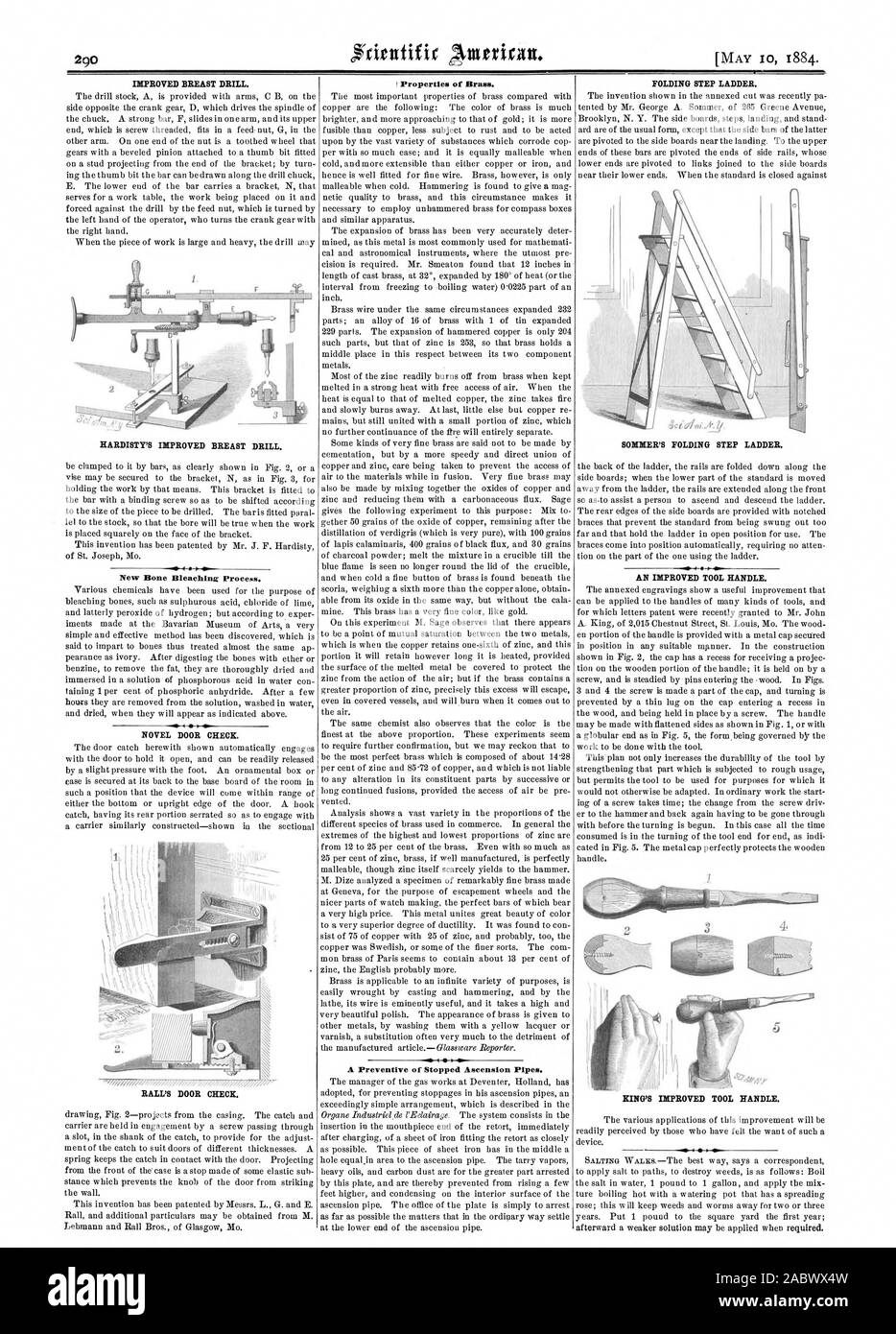 New bone bleaching process hires stock photography and images Alamy