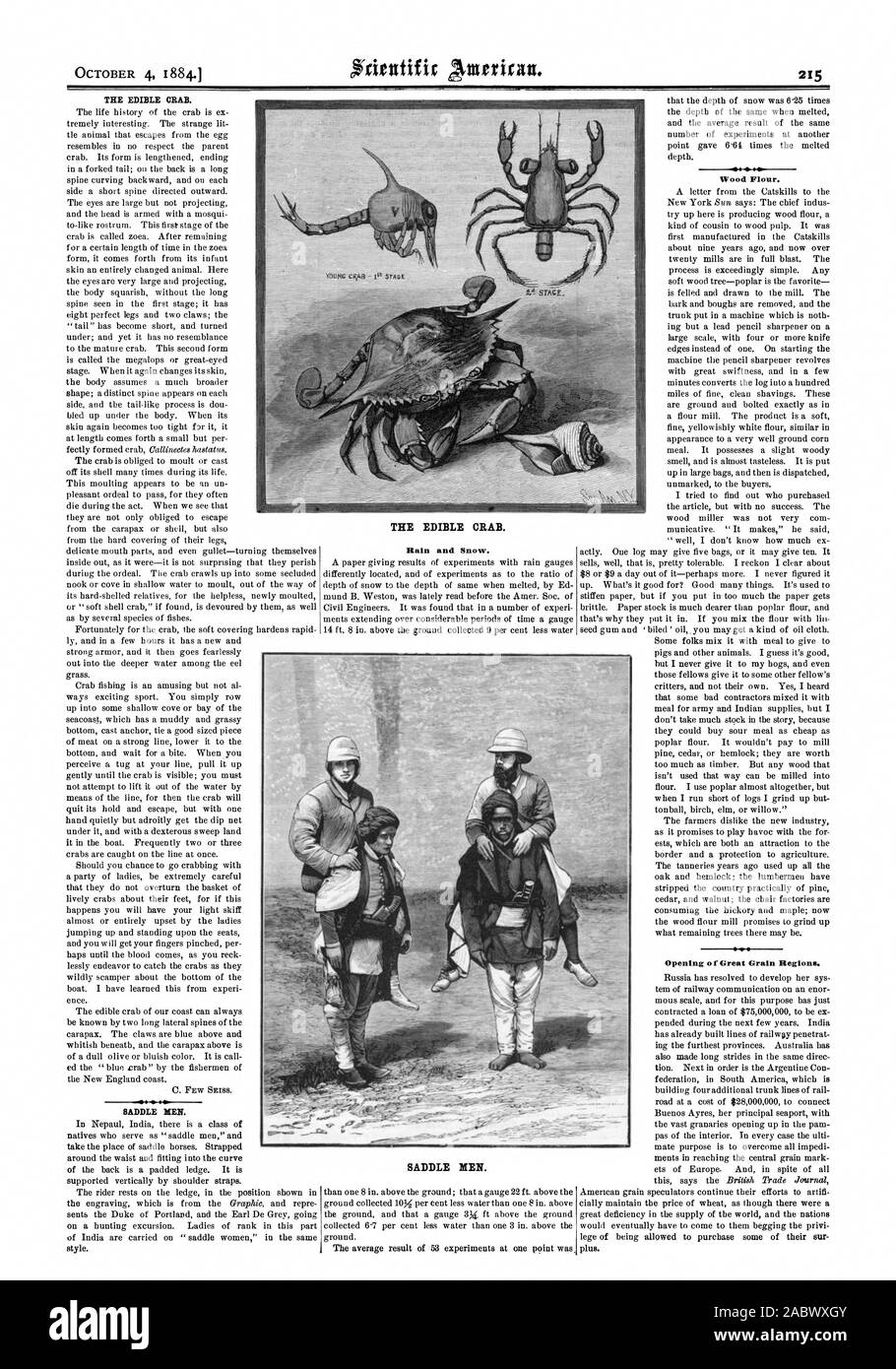 THE EDIBLE CRAB. SADDLE MEN. Rain and Snow. Wood Flour. Opening of