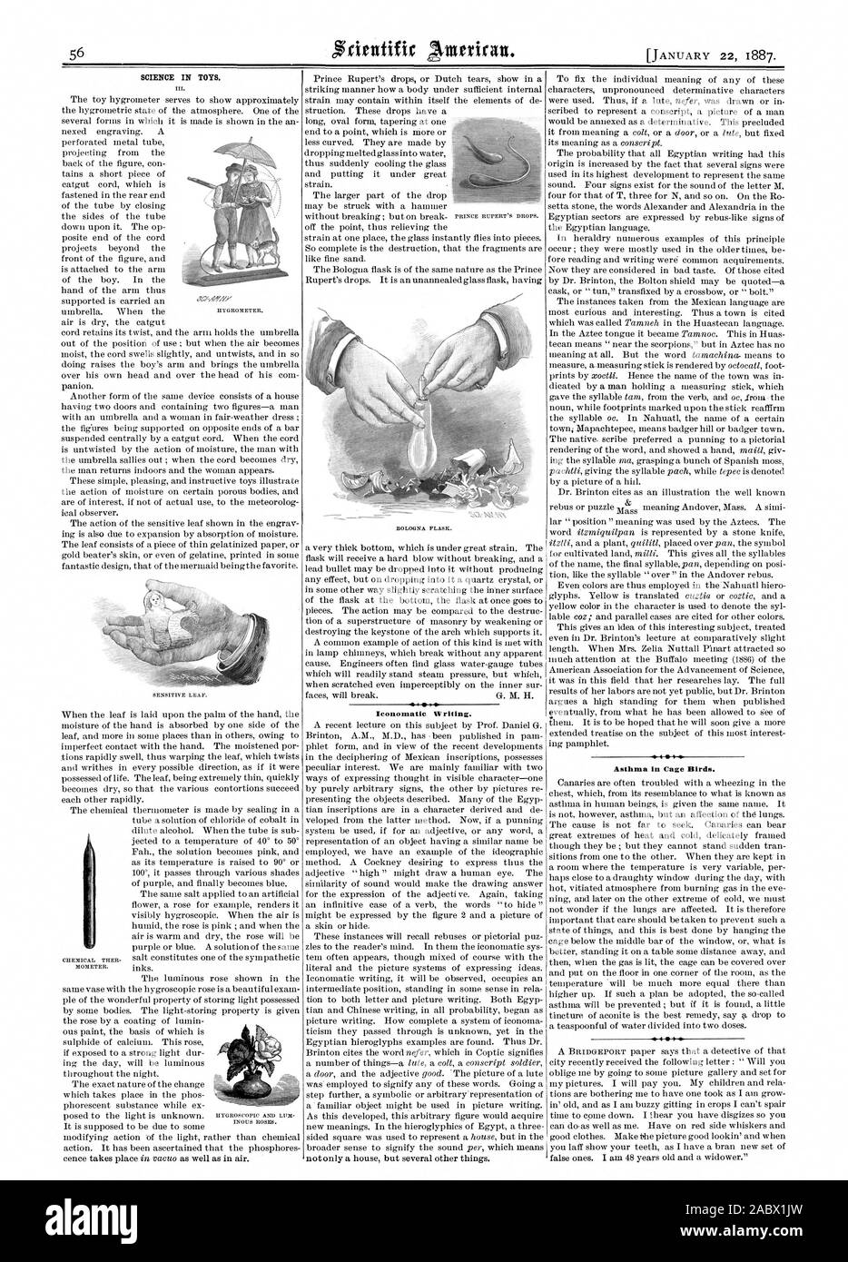 SCIENCE IN TOYS. Iconomatie Writing. Asthma in Cage Birds., scientific american, 1887-01-22 Stock Photo