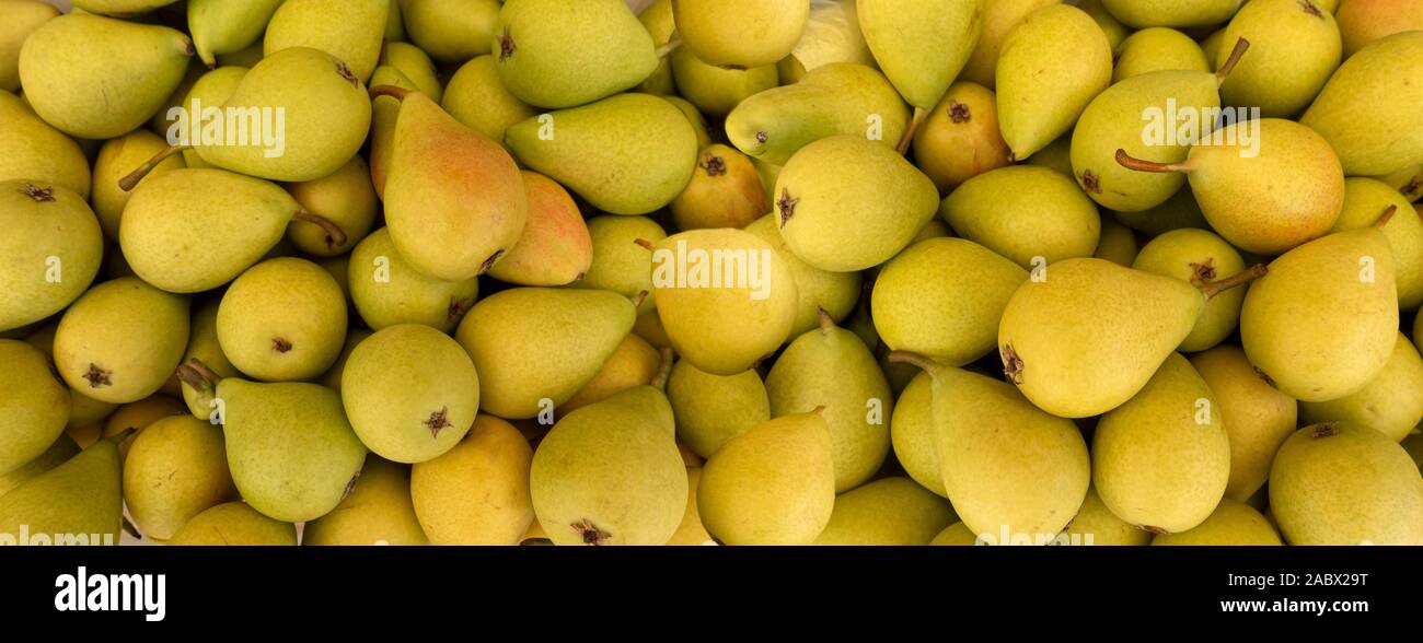 Panoramic close-up of ripe pears Stock Photo