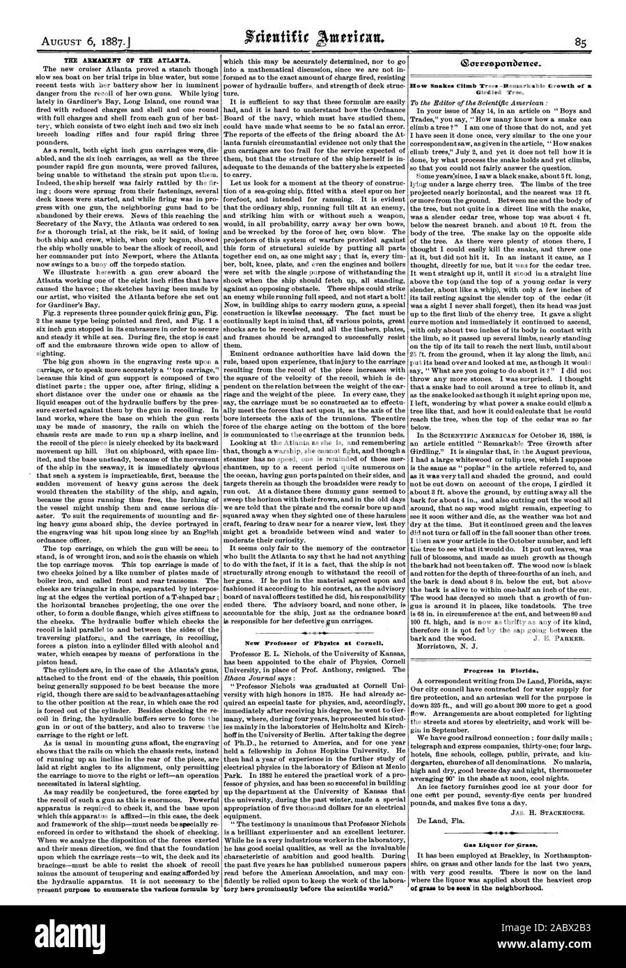 THE ARMAMENT OF THE ATLANTA. present purpose to enumerate the various formula by New Professor of Physics at Cornell. eorreeportbence. Girdled Tree. Progress in Florida. JAS. H. STACKHOUSE. Gas Liquor for Grass. of grass to be seen' in the neighborhood., scientific american, 1887-08-06 Stock Photo