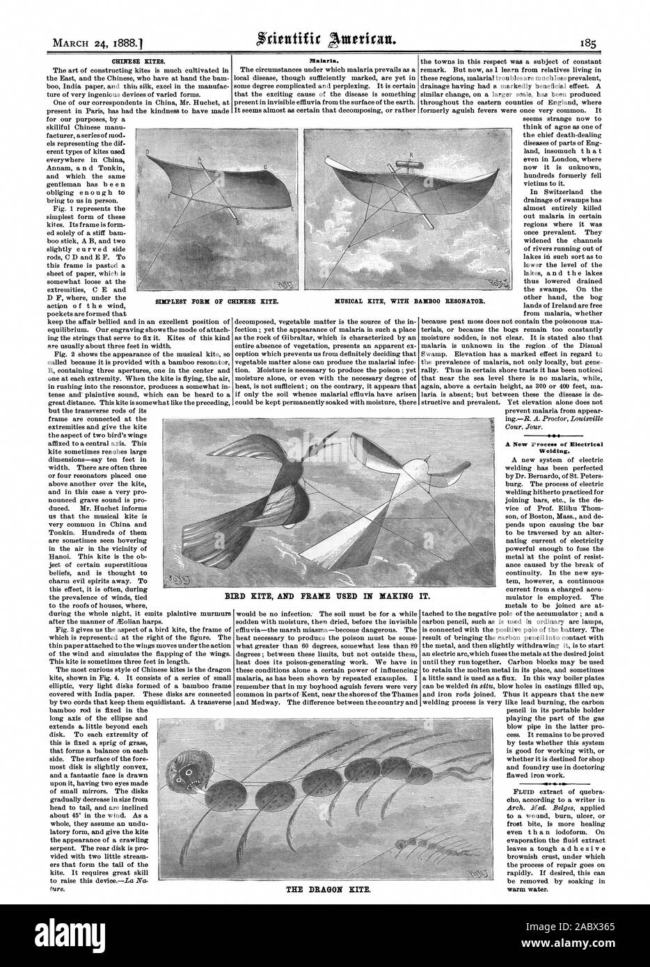 CHINESE KITES. Malaria. A New Process of Electrical Welding. SIMPLEST FORK OF CHINESE KITE. MUSICAL KITE WITH BAMBOO RESONATOR. BIRD KITE AND FRAME USED IN MAKING IT. THE DRAGON KITE., scientific american, 1888-03-24 Stock Photo