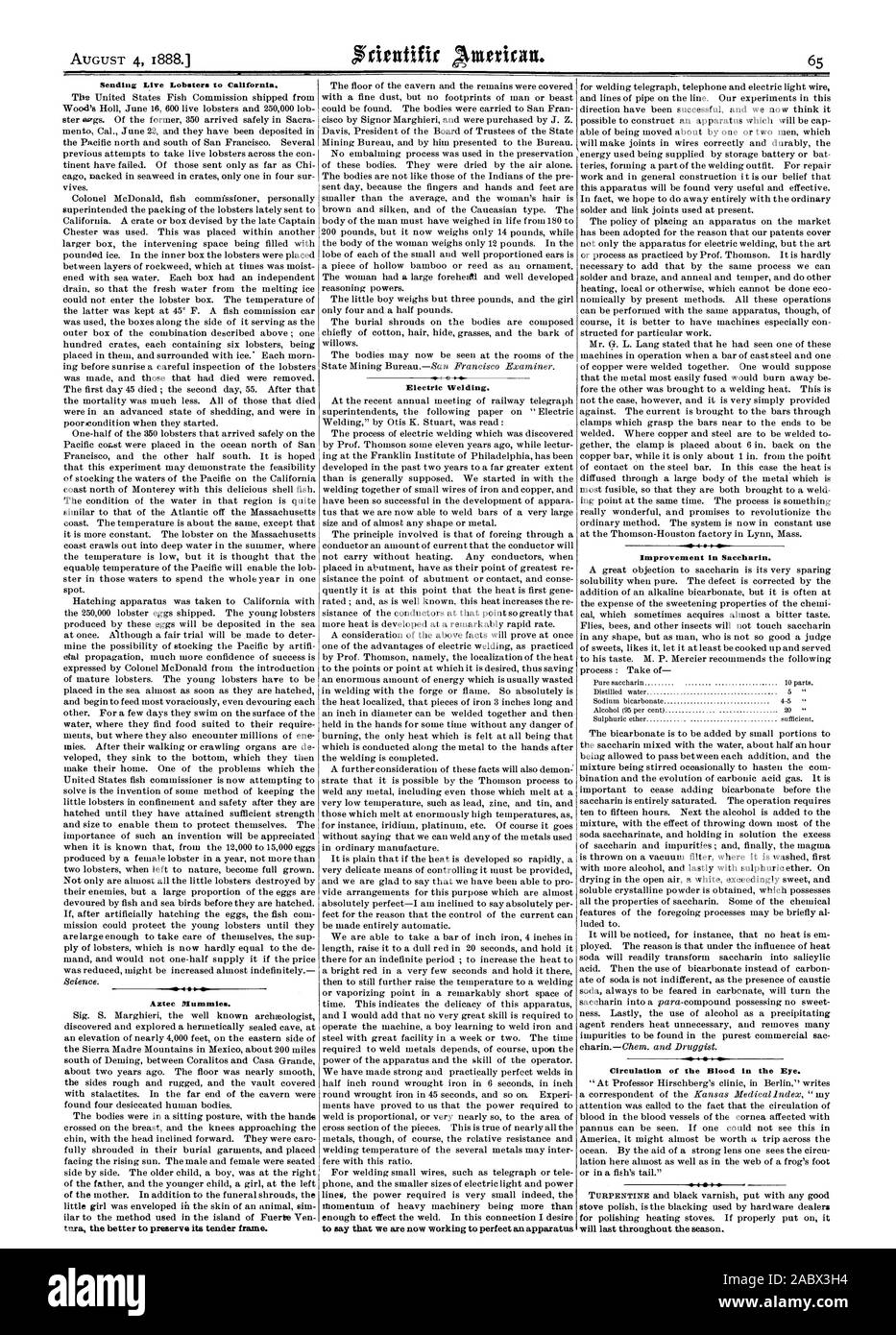 Sending Live Lobsters to California. Aztec Mummies. Electric Welding. to say that we are now working to perfect an apparatus 1 14. Improvement in Saccharin. Circulation of the Blood in the Eye. 4 141. will last throughout the season., scientific american, 1888-08-04 Stock Photo