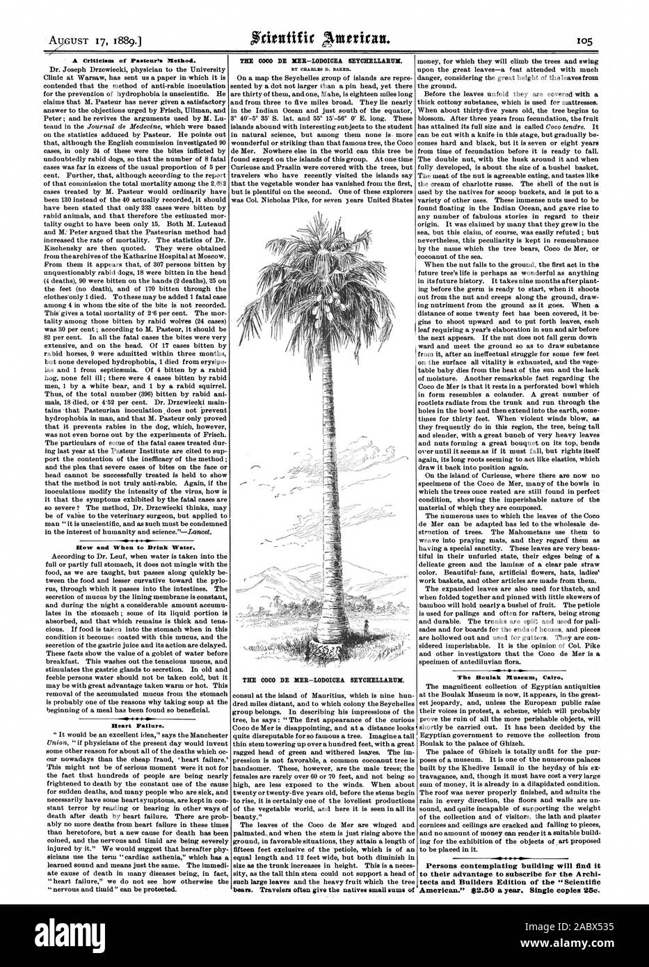 A Criticism of Pasteur's Method. How and When to Drink Water. os o Heart Failure. The Boulak Museum Cairo., scientific american, 1889-08-17 Stock Photo