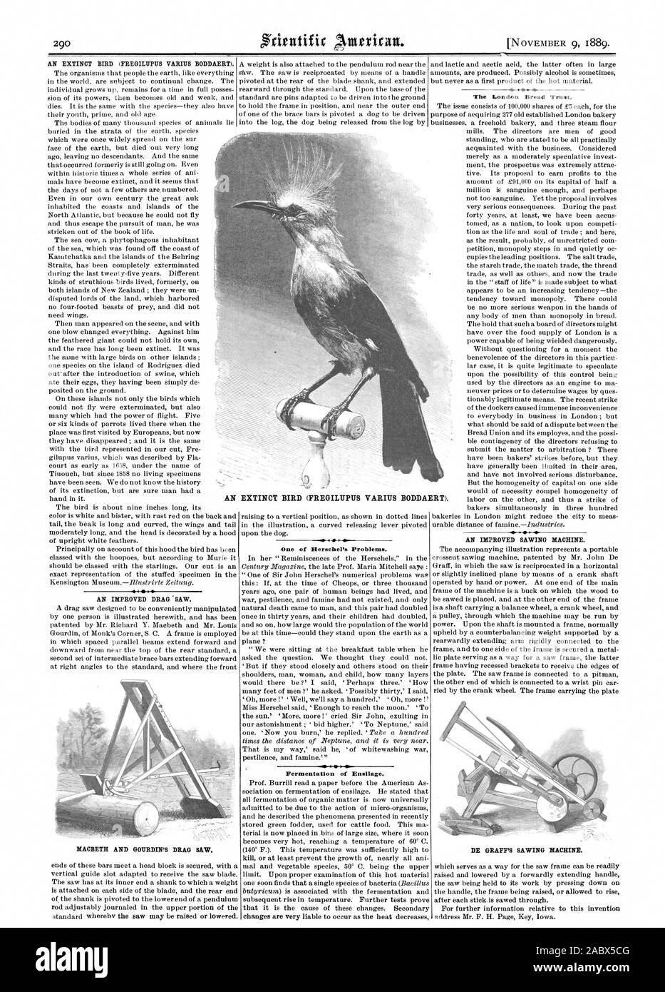 AN EXTINCT BIRD (FREGILUPUS VARIITS BODDAERT). I  AN IMPROVED DRAG  SAW. MACBETH AND GOIIRDIN'S DRAG SAW. One of Herschel's Problems. Fermentation of Ensilage. The London Bread Trust. AN IMPROVED SAWING MACHINE. DE GRAFF'S SAWING MACHINE., scientific american, 1889-11-09 Stock Photo