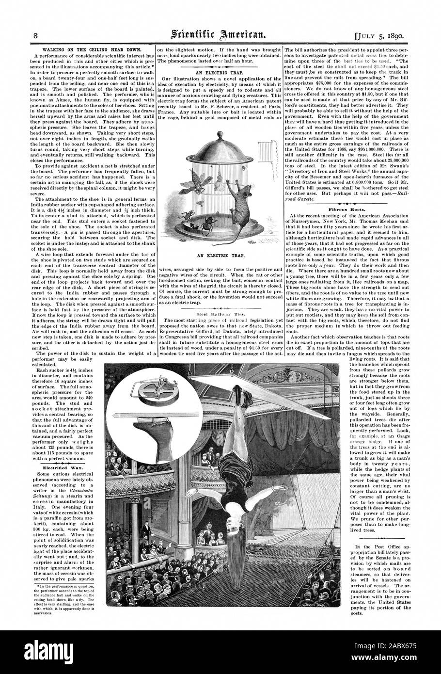 Walking On The Ceiling Stock Photos Walking On The Ceiling Stock