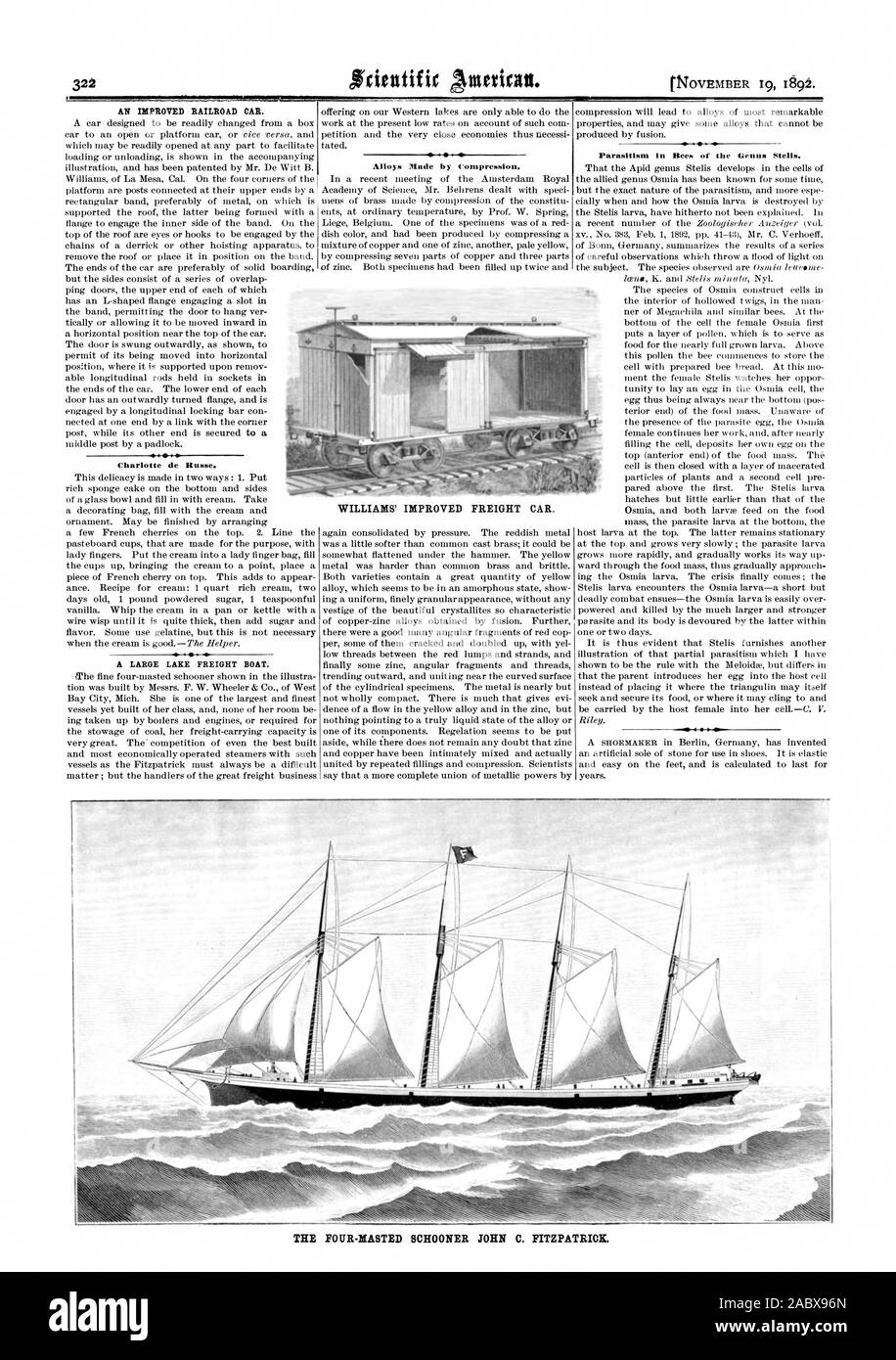 Charlotte de Russe. A LARGE LAKE FREIGHT BOAT. Alloys Made by Compression. WILLIAMS' IMPROVED FREIGHT CAR. Parasitism in Bees of the Genus Stelis. THE FOUR-MASTED SCHOONER JOHN C. FITZPATRICK., scientific american, 1892-11-19 Stock Photo