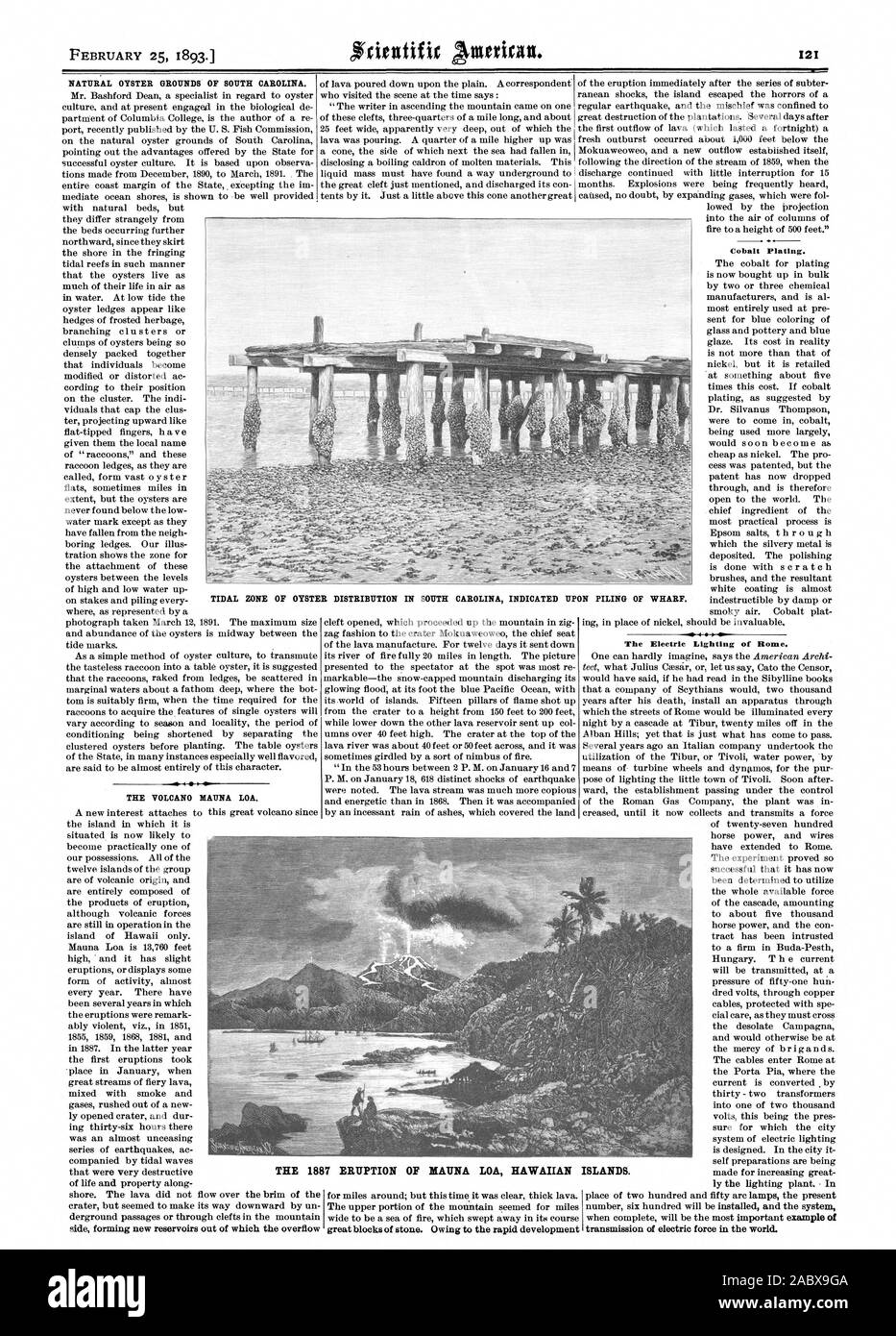 NATURAL OYSTER GROUNDS OF SOUTH CAROLINA. THE VOLCANO MAUNA LOA. Cobalt Plating. The Electric Lighting of Rome. transmission of electric force in the world. TIDAL ZONE OF OYSTER DISTRIBUTION IN SOUTH CAROLINA INDICATED UPON PILING OF WHARF. THE 1887 ERUPTION OF MAUNA LOA HAWAIIAN ISLANDS., scientific american, 1893-02-25 Stock Photo