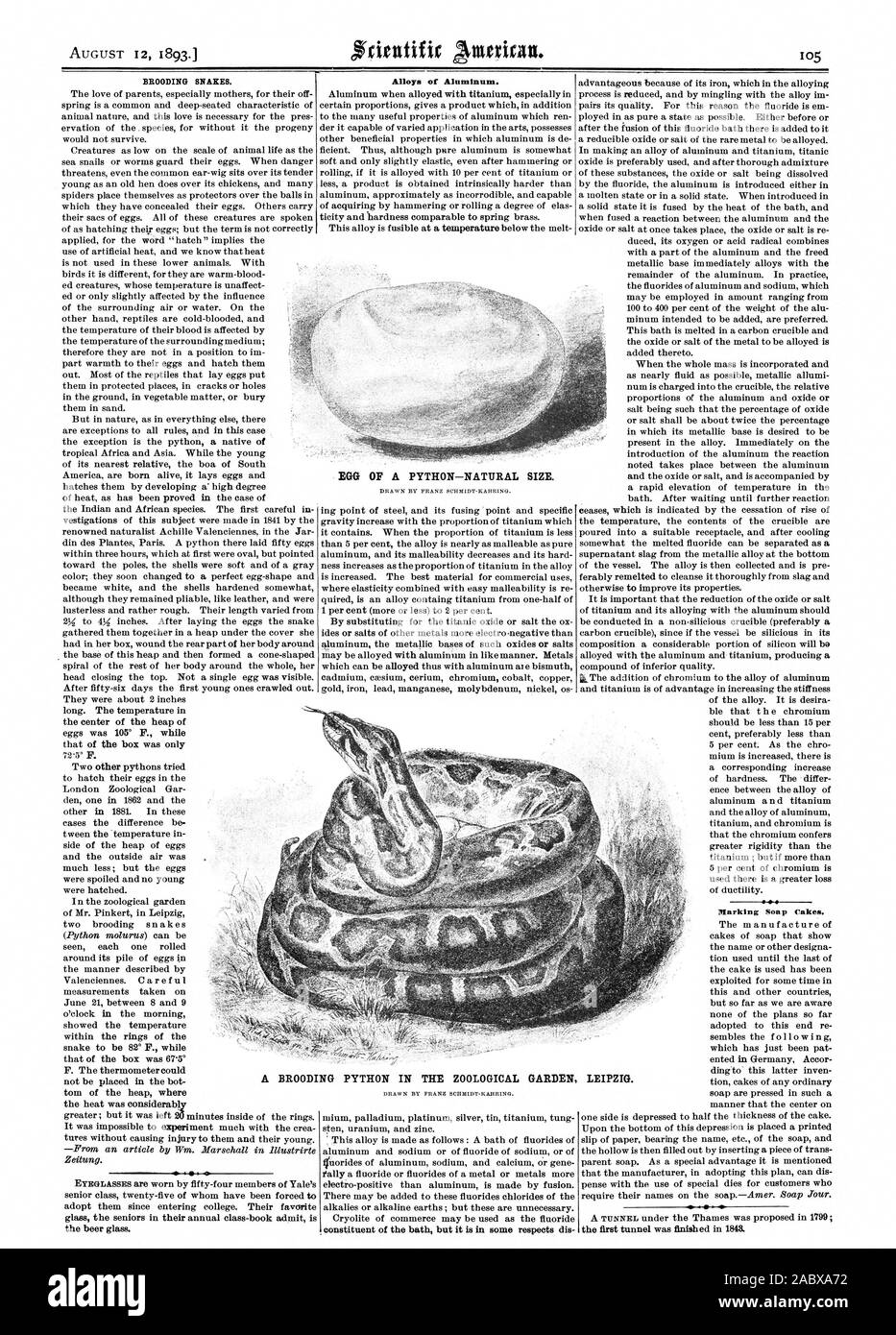 BROODING SNAKES. Alloys of Aluminum. Marking Soap Cakes. EGG OF A PYTHON—NATURAL SIZE. A BROODING PYTHON IN THE ZOOLOGICAL GARDEN LEIPZIG., scientific american, 1893-08-12 Stock Photo