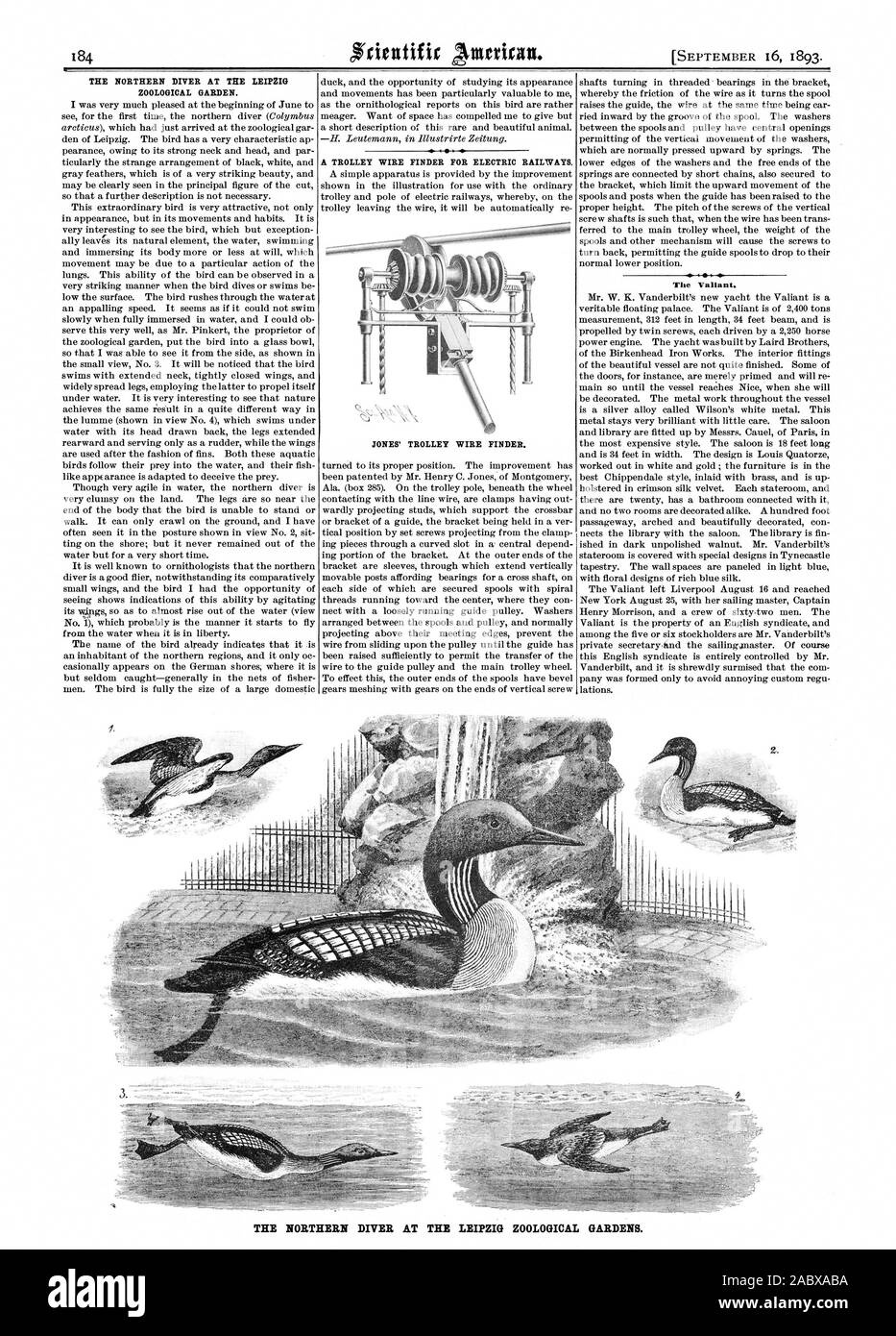 THE NORTHERN DIVER AT TRE LEIPZIG ZOOLOGICAL GARDEN. A TROLLEY WIRE FINDER FOR ELECTRIC RAILWAYS. JONES' TROLLEY WIRE FINDER. The Valiant. THE NORTHERN DIVER AT THE LEIPZIG ZOOLOGICAL GARDENS., scientific american, 1893-09-16 Stock Photo