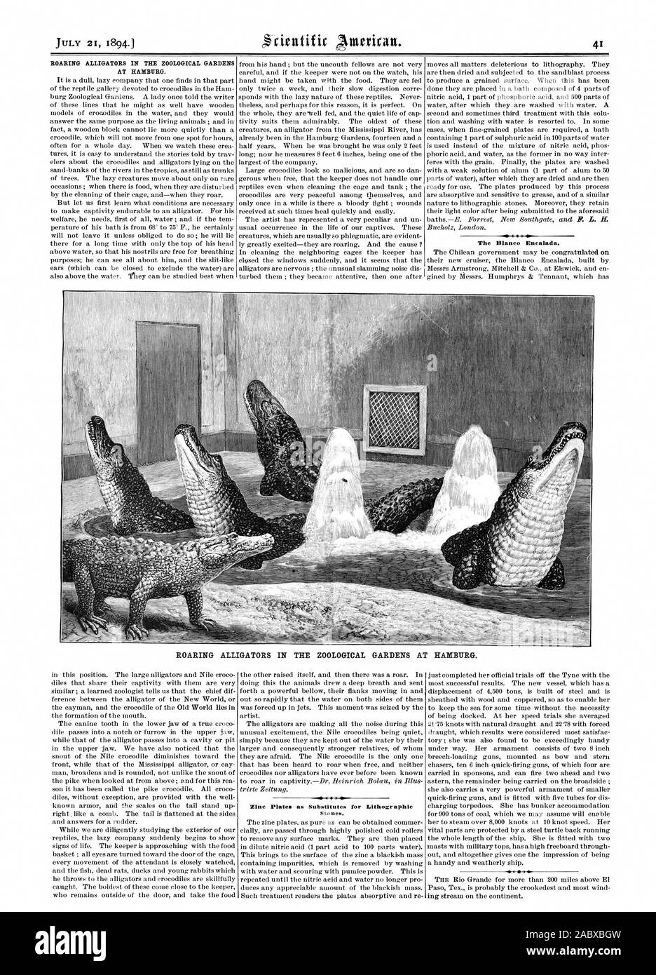 ROARING ALLIGATORS IN THE ZOOLOGICAL GARDENS AT HAMBURG. The Blanco Encalada. ROARING ALLIGATORS IN THE ZOOLOGICAL GARDENS AT HAMBURG. Zinc Plates as Substitutes for Lithographic Stones., scientific american, 1894-07-21 Stock Photo