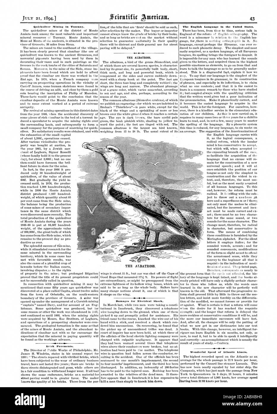 Quicksilver Mining in Tuscany. Brick Pavements. THE ALBATROSS. Damages for Electrical Shock. The English Language in the United States. Wonderful Speed of Atlantic Liners., scientific american, 1894-07-21 Stock Photo