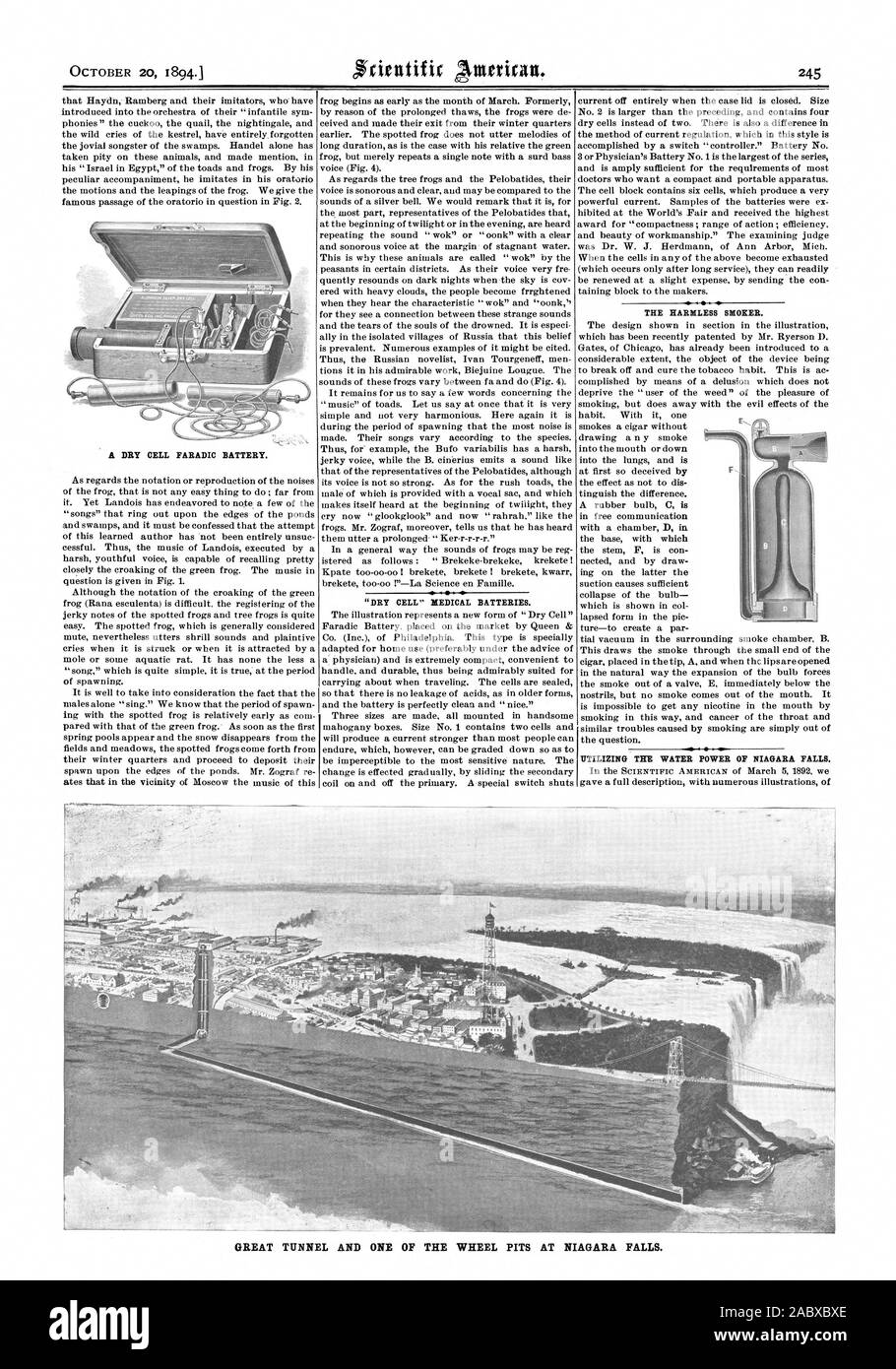 OCTOBER 20 1894.1 'DRY CELL' MEDICAL BATTERIES. THE HARMLESS SMOKER. UTILIZING THE WATER POWER OF NIAGARA FALLS. GREAT TUNNEL AND ONE OF THE WHEEL PITS AT NIAGARA FALLS., scientific american, 1894-10-20 Stock Photo