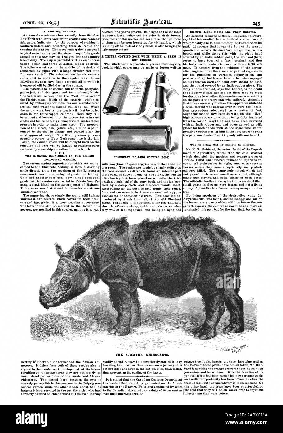 A Floating Cannery. THE SUMATRA RHINOCEROS IN THE LEIPZIG ZOOLOGICAL GARDEN. NOT NEEDED. BUSHNELL'S ROLLING COPYING BOOK. Electric Light Mains and Their Dangers. The Clearing Out of Insects in Florida. THE SUMATRA RHINOCEROS., scientific american, 1895-04-20 Stock Photo