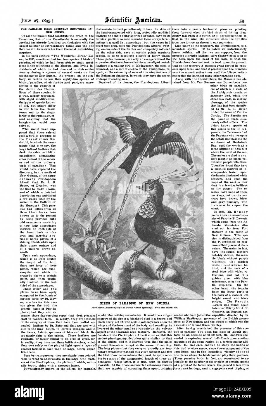 American Shoemaking Machinery at the Frankfort Leather Fair. Acorn-Storing  Birds. W (IP Chicken Hatching by Electricity. Salmon from the Arctic  Regions., scientific american, 1881-11-26 Stock Photo - Alamy