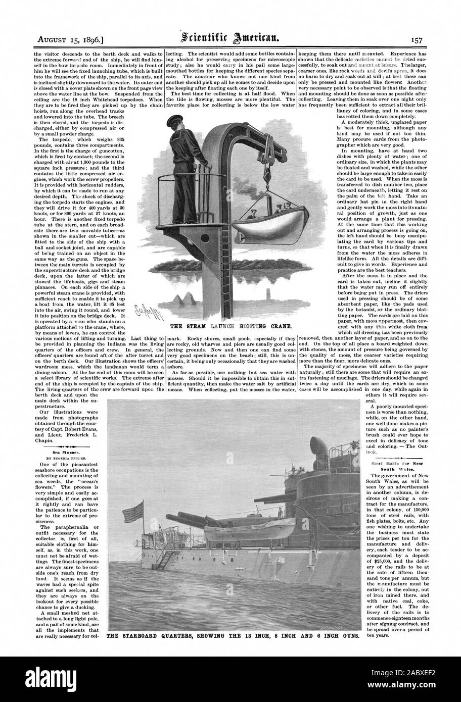 Sea Mosses. Steel Rails for New South Wales. THE STEAM LAUNCH HOISTING CRANE. THE STARBOARD QUARTERS SHOWING THE 13 INCH 8 INCH AND 6 INCH GUNS., scientific american, 1896-08-15 Stock Photo