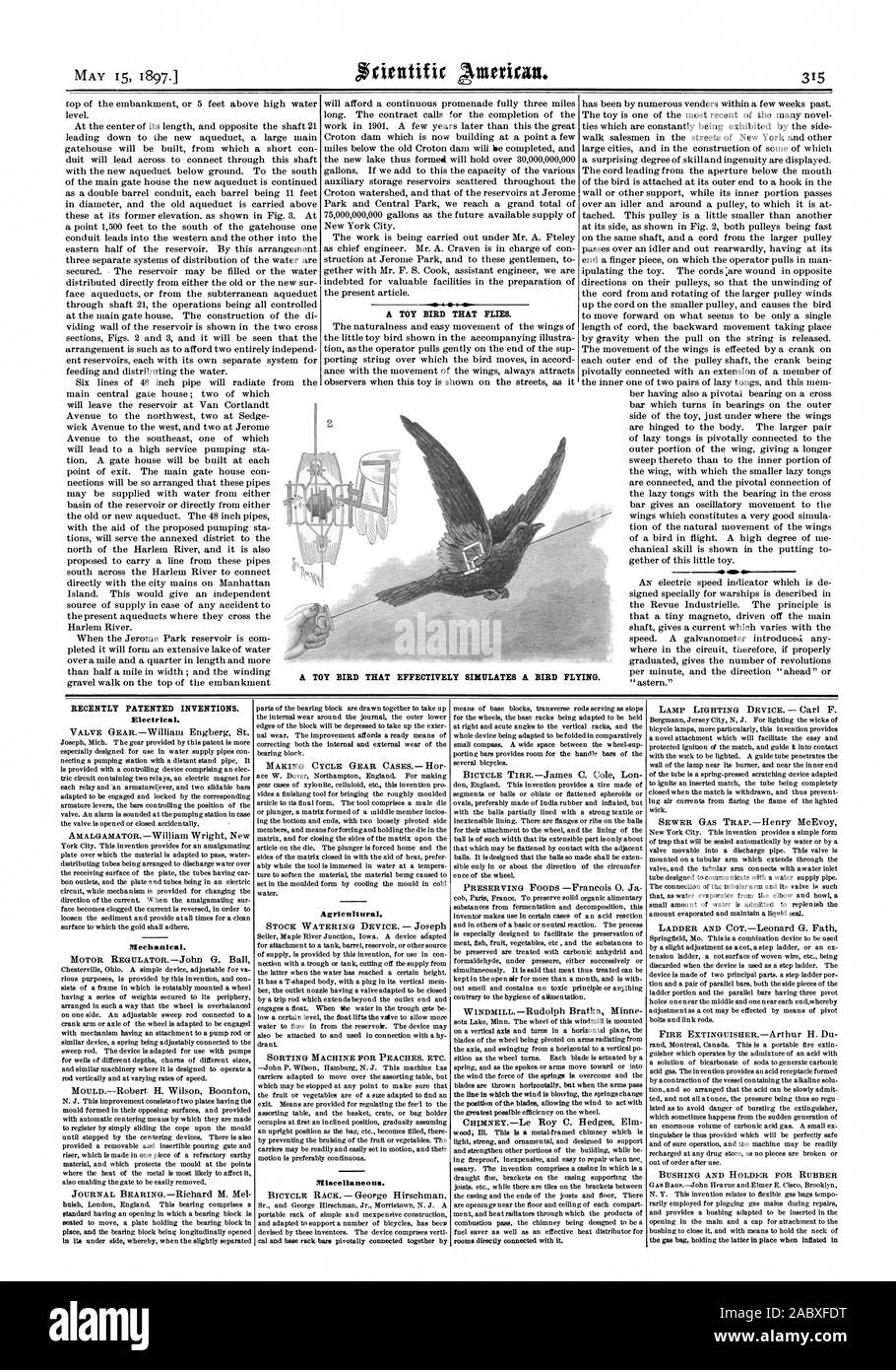 A TOY BIRD THAT FLIES. sll A TOY BIRD THAT EFFECTIVELY SIMULATES A BIRD ...