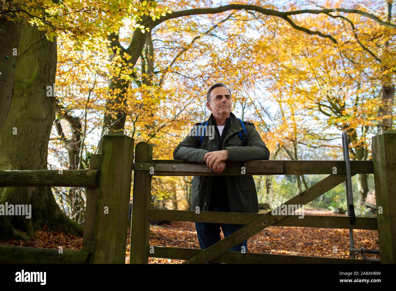 Active Mature Man Leaning On Wooden Gate On Walk Through Autumn Woodland Stock Photo