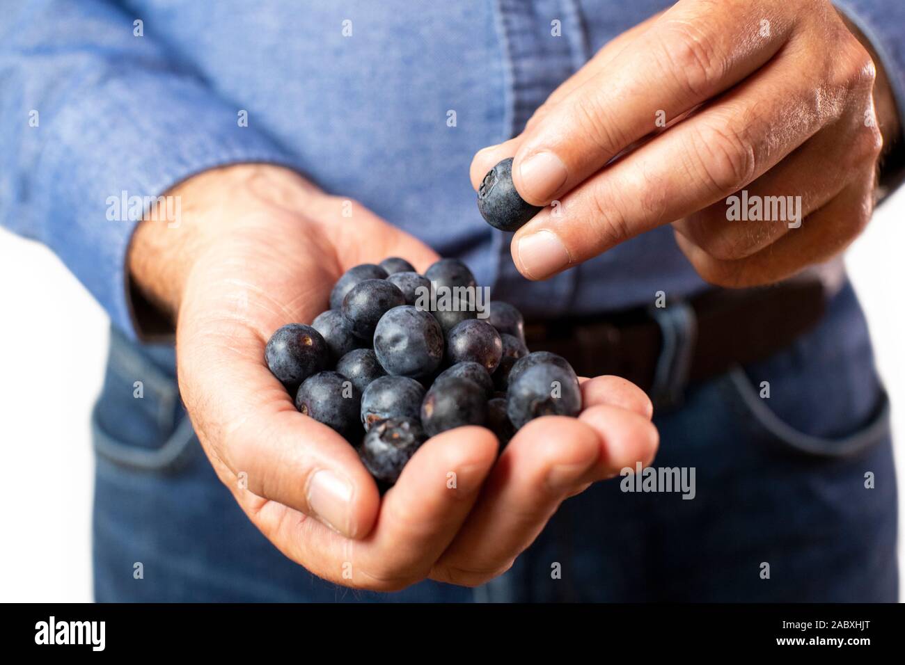 Close Up Studio Shot Of Man Eating Fresh Blueberries Stock Photo