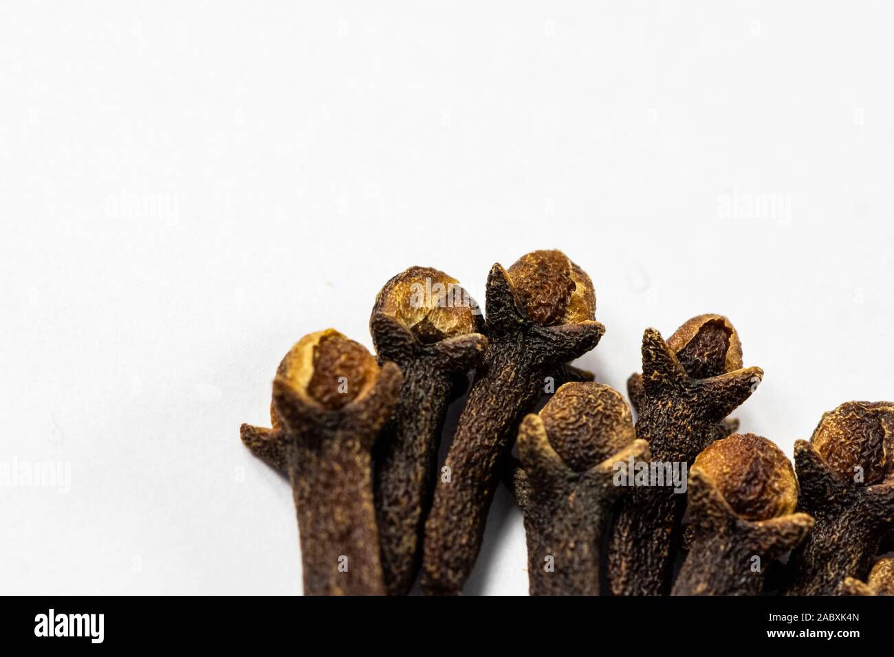 Macro photograph of clove sticks in white background Stock Photo Alamy