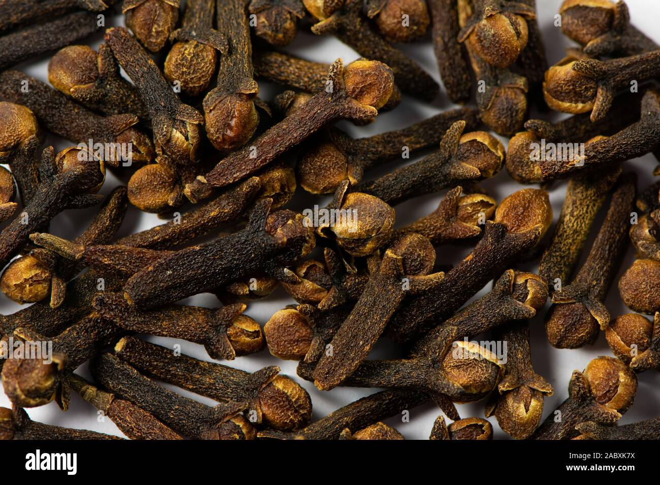 Macro photograph of clove sticks in white background Stock Photo Alamy