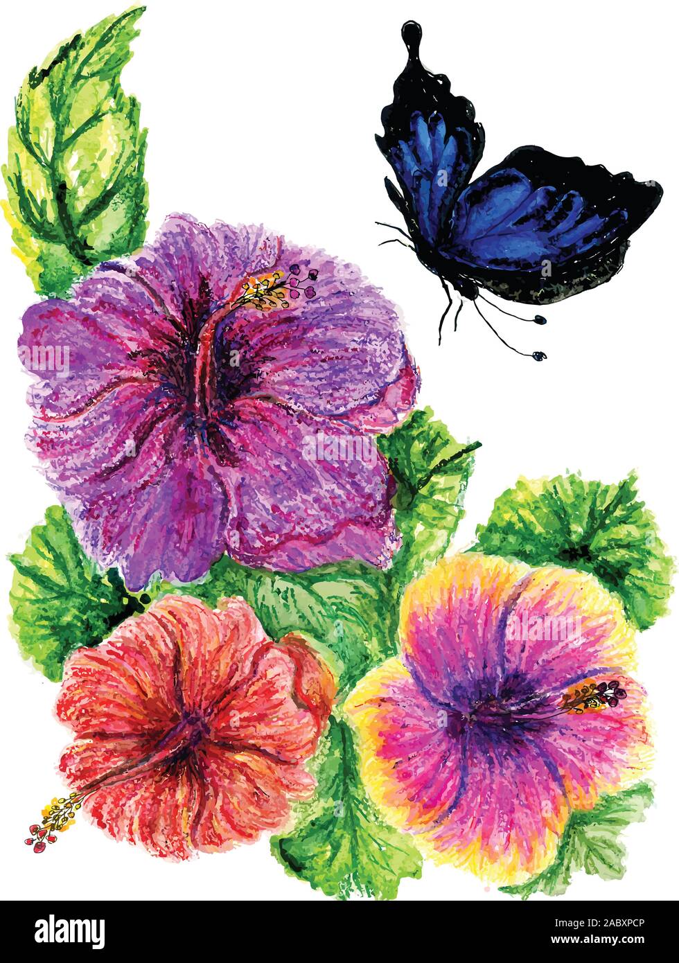 Watercolor painting of hibiscus flower, hand drawn illustration Stock ...
