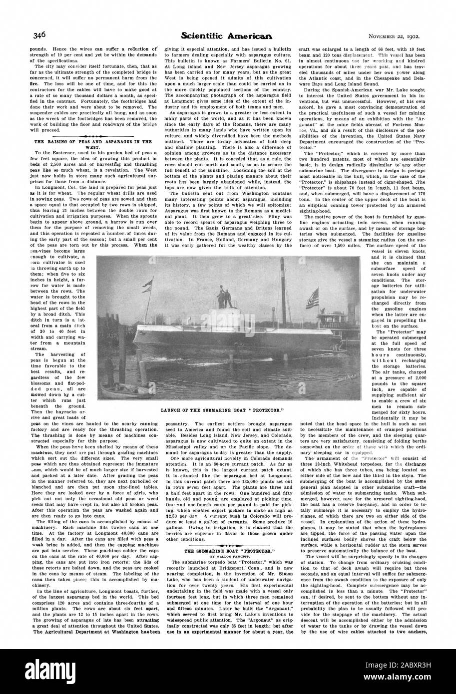 THE RAISING OF PEAS AND ASPARAGUS IN THE WEST. The Agricultural Department at Washington has been LAUNCH OF THE SUBMARINE BOAT 'PROTECTOR.' FEB SMBMARINE BOAT 'PROTECTGA.' BY WALDON RAWCHTT. use in an experimental manner for about a year the, scientific american, 1902-11-22 Stock Photo